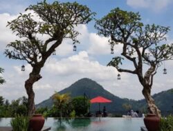 10 Tempat Wisata Instagramable Ke Di Sentul, Ada Negeri Ke Atas Awan