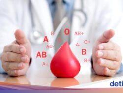 Ternyata Ini Pemicu Golongan Darah A Berisiko Kena Stroke Di Usia Muda