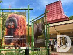 KBS Tetap Buka Di Libur Lebaran, Siaga Hibur Komunitas 