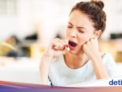 Sering Mengantuk Sesudah Makan? Ini 8 Penyebab dan Cara Mengatasinya