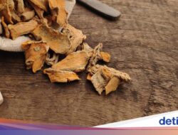 Temulawak Bisa Di Sebab Itu Skincare? Ini 7 Manfaatnya Sebagai Kulit Wajah