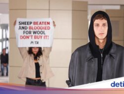 CEO New York Mode Week Serang Aktivis PETA Pada Peragaan Berlangsung