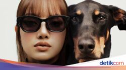Lisa BLACKPINK Desain Kacamata Pintar Meta Terinspirasi Hewan Peliharaannya
