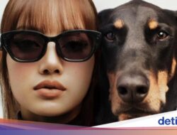 Lisa BLACKPINK Desain Kacamata Pintar Meta Terinspirasi Hewan Peliharaannya