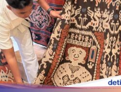 Kisah Motif Ratu Wilhelmina Hingga Kain Sumba, Jejak Kolonial Di Kearifan Lokal Tenun