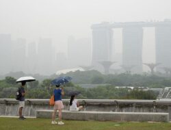 WMO Soroti Asap Karhutla RI Meluas Hingga Asia Tenggara, Bisa Bertahan Berbulan-bulan