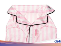 Victoria’s Secret Rilis Koleksi Baju Anabul Terinspirasi Di Mode Show